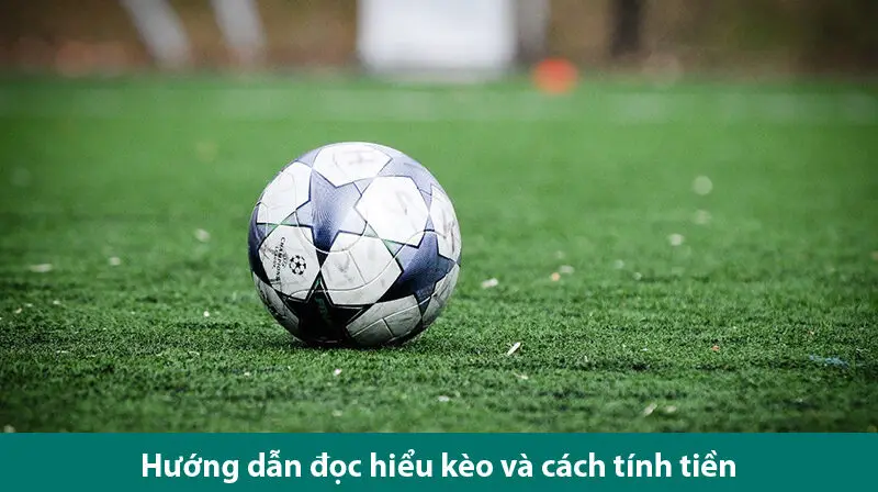 Cách đọc kèo chấp 1 trái và kinh nghiệm chơi hiệu quả từ chuyên gia 2 Cách đọc kèo chấp 1 trái và kinh nghiệm chơi hiệu quả từ chuyên gia