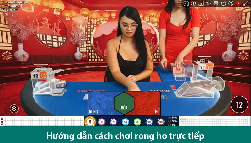 Hướng dẫn chơi và bí kíp đặt cược Rồng Hổ trực tiếp chi tiết tại VN88 2 Hướng dẫn chơi và bí kíp đặt cược Rồng Hổ trực tiếp chi tiết