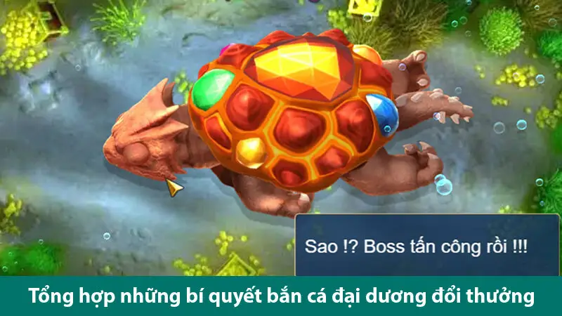 Luật chơi bắn cá Đại Dương trực tuyến cùng các bí quyết chơi bách thắng 3 Luật chơi bắn cá Đại Dương trực tuyến cùng các bí quyết chơi bách thắng